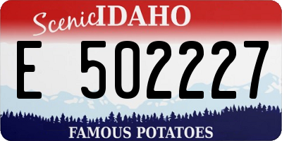 ID license plate E502227