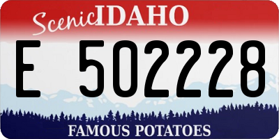 ID license plate E502228