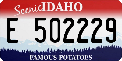 ID license plate E502229