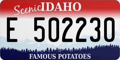 ID license plate E502230