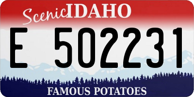 ID license plate E502231