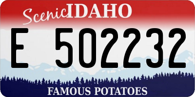 ID license plate E502232