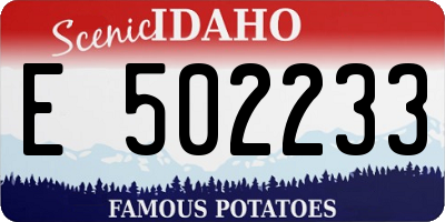 ID license plate E502233