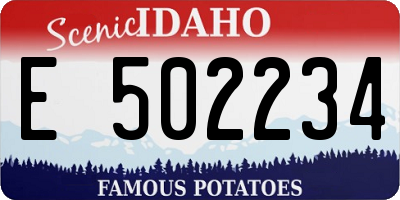 ID license plate E502234