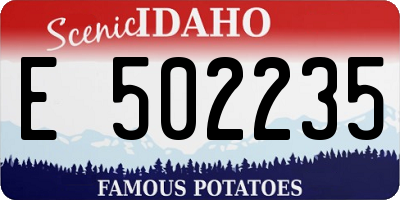 ID license plate E502235