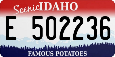 ID license plate E502236