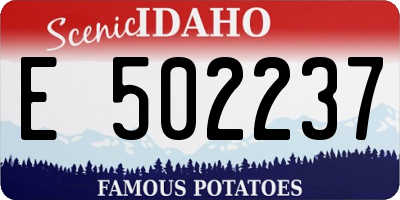 ID license plate E502237