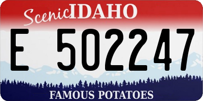 ID license plate E502247