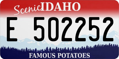 ID license plate E502252