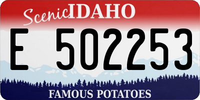 ID license plate E502253