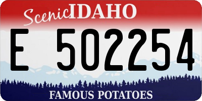 ID license plate E502254