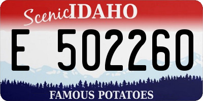 ID license plate E502260