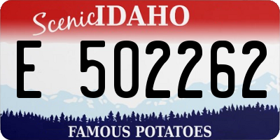 ID license plate E502262