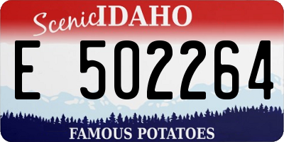 ID license plate E502264