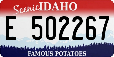 ID license plate E502267