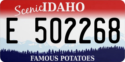 ID license plate E502268