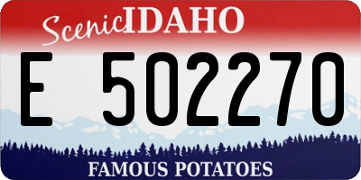 ID license plate E502270