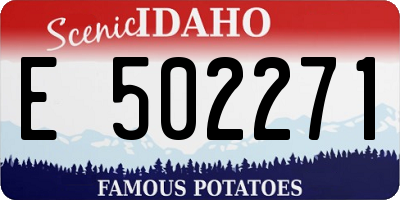 ID license plate E502271