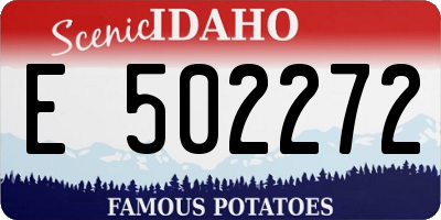 ID license plate E502272