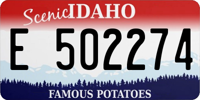 ID license plate E502274