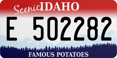 ID license plate E502282