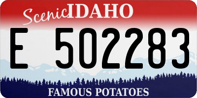 ID license plate E502283