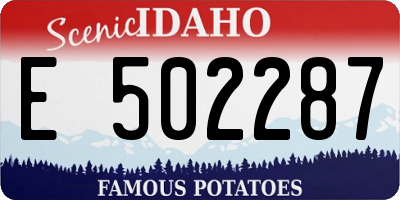 ID license plate E502287
