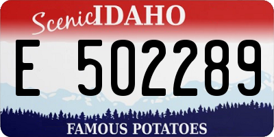 ID license plate E502289