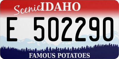 ID license plate E502290