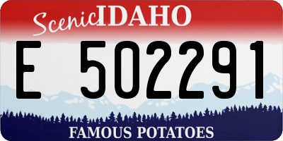 ID license plate E502291
