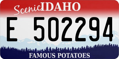 ID license plate E502294