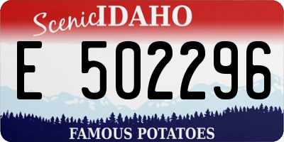 ID license plate E502296