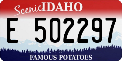 ID license plate E502297