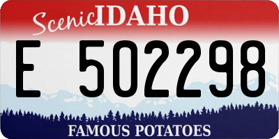 ID license plate E502298