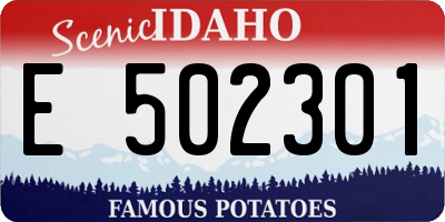 ID license plate E502301