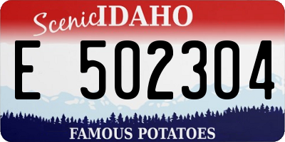 ID license plate E502304