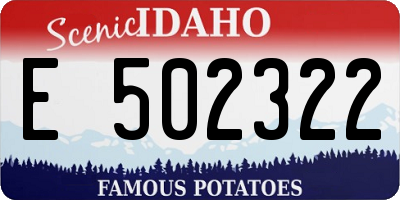 ID license plate E502322