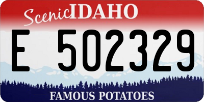 ID license plate E502329