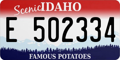 ID license plate E502334