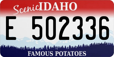 ID license plate E502336