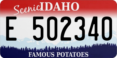 ID license plate E502340