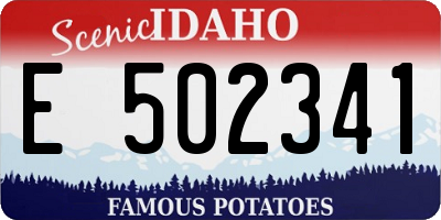 ID license plate E502341