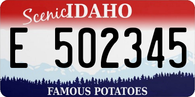 ID license plate E502345