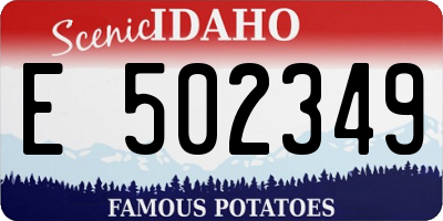 ID license plate E502349
