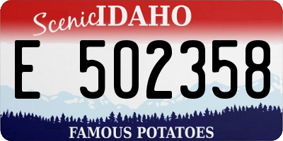 ID license plate E502358