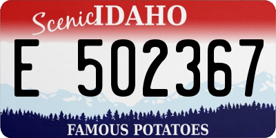 ID license plate E502367