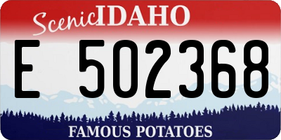 ID license plate E502368