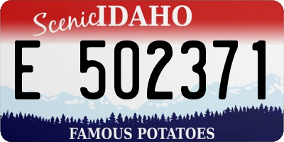 ID license plate E502371