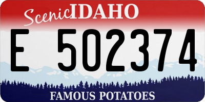 ID license plate E502374