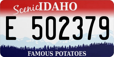 ID license plate E502379